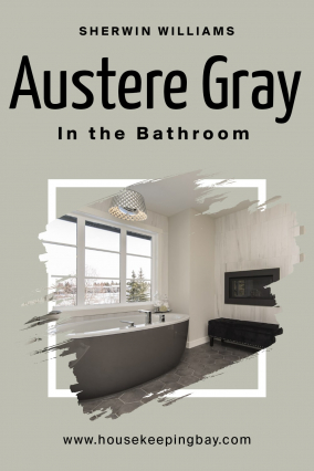 Austere Gray SW-6184 by Sherwin Williams | Detailed Guide