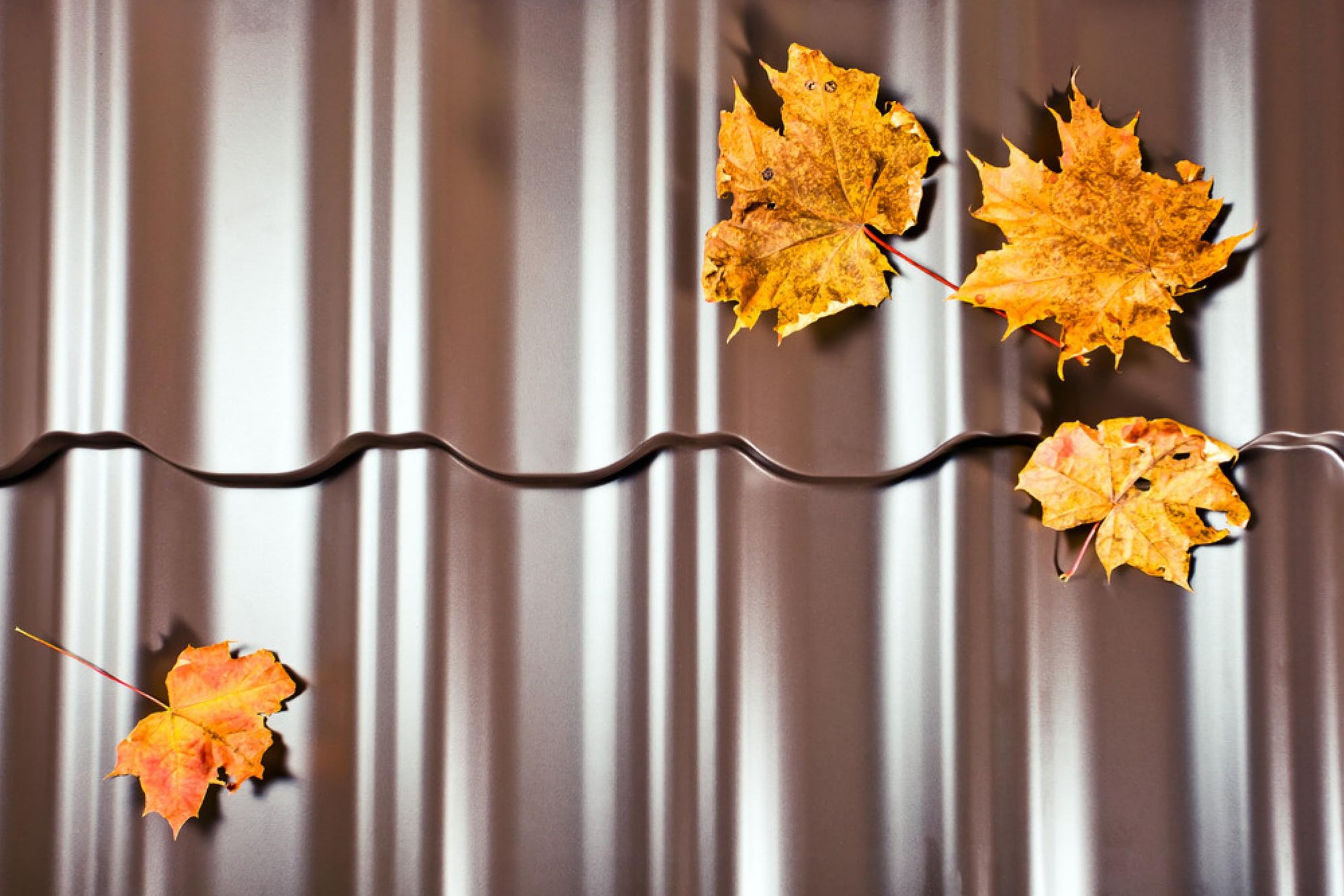 All You Need to Know About Painting a Metal Roof With Rust
