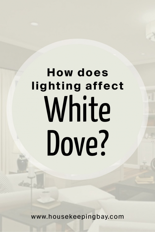 How Does Lighting Affect White Dove OC 17 542x813 