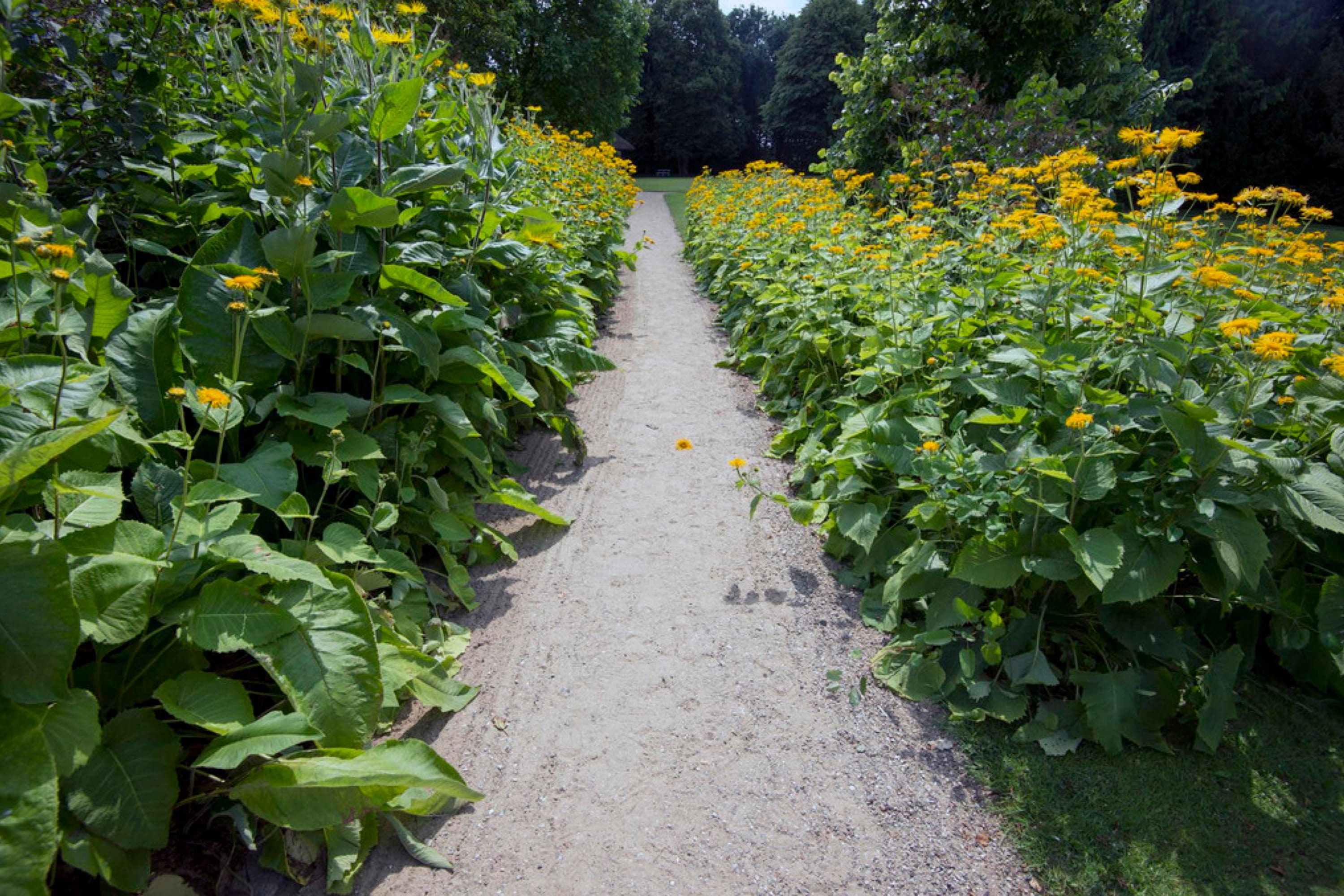 Consider Garden Beds Around