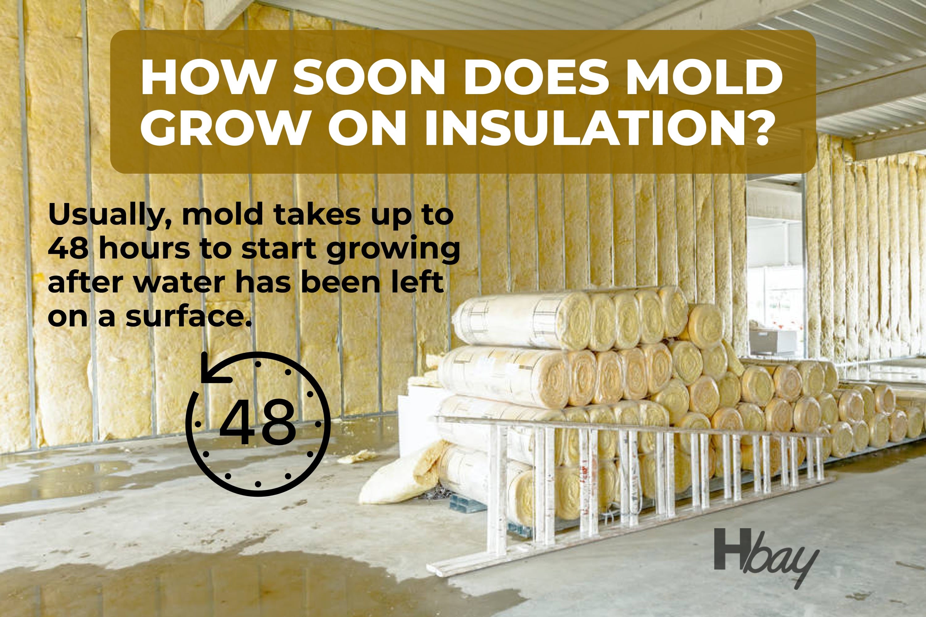 How soon does mold grow on insulation