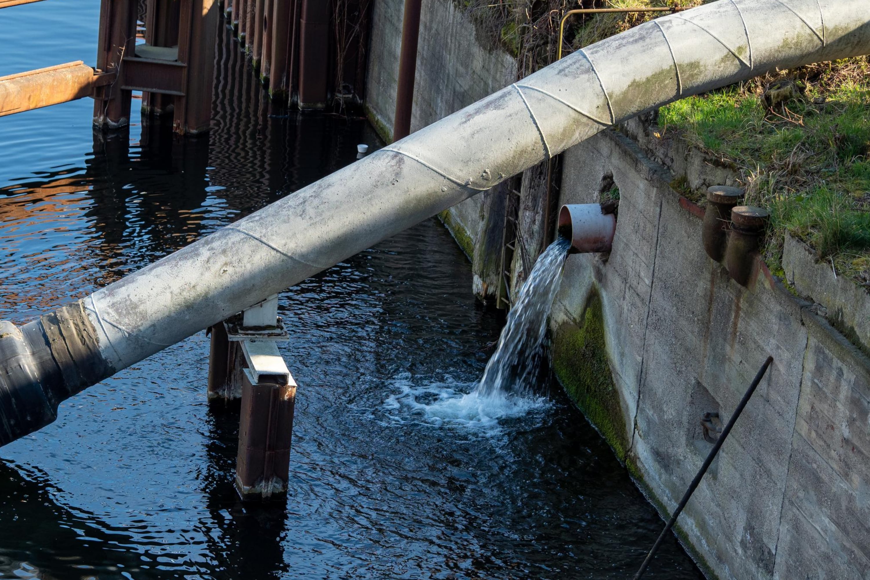 Make Sure Water Is In The Sewer Traps