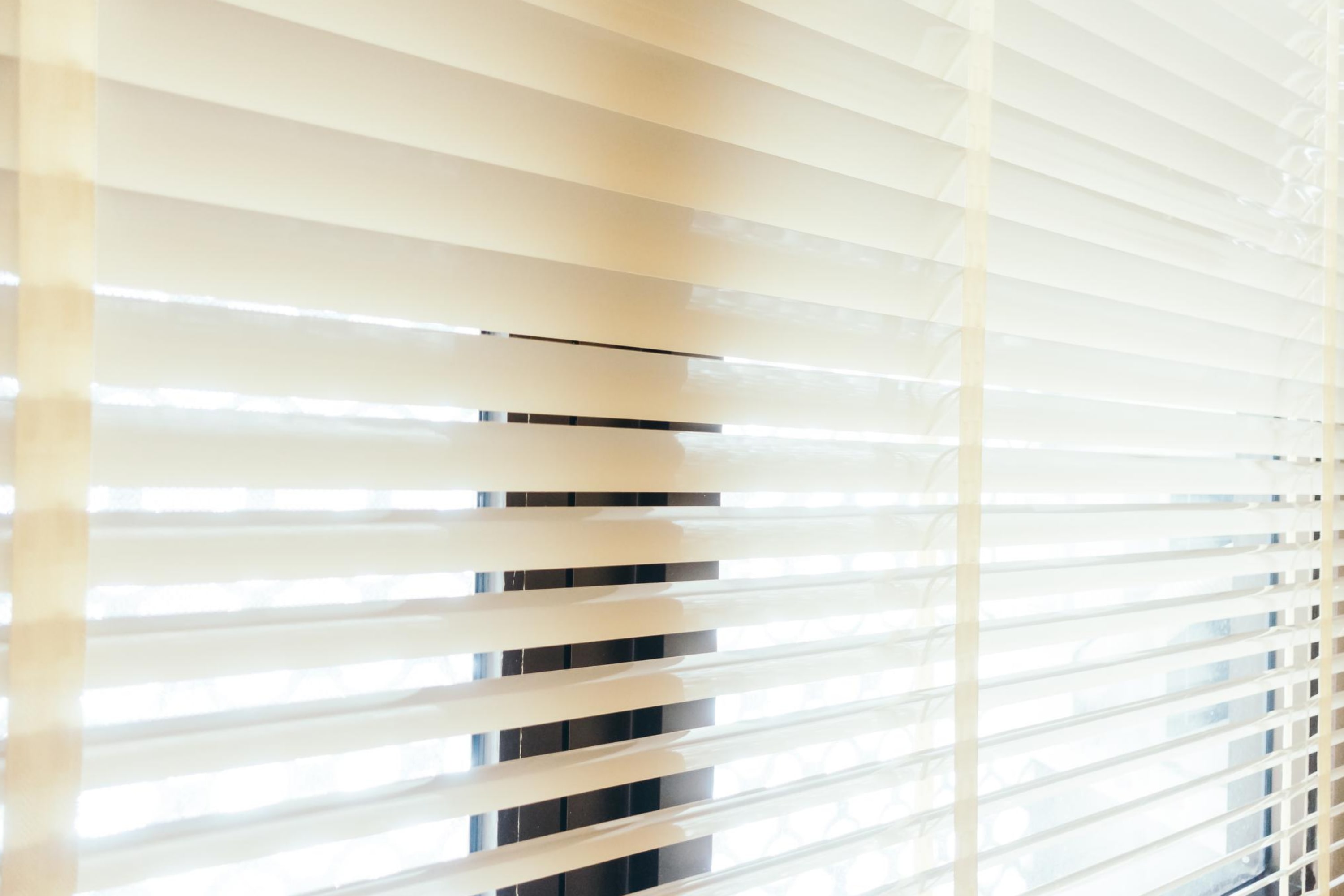 Mesh Blinds