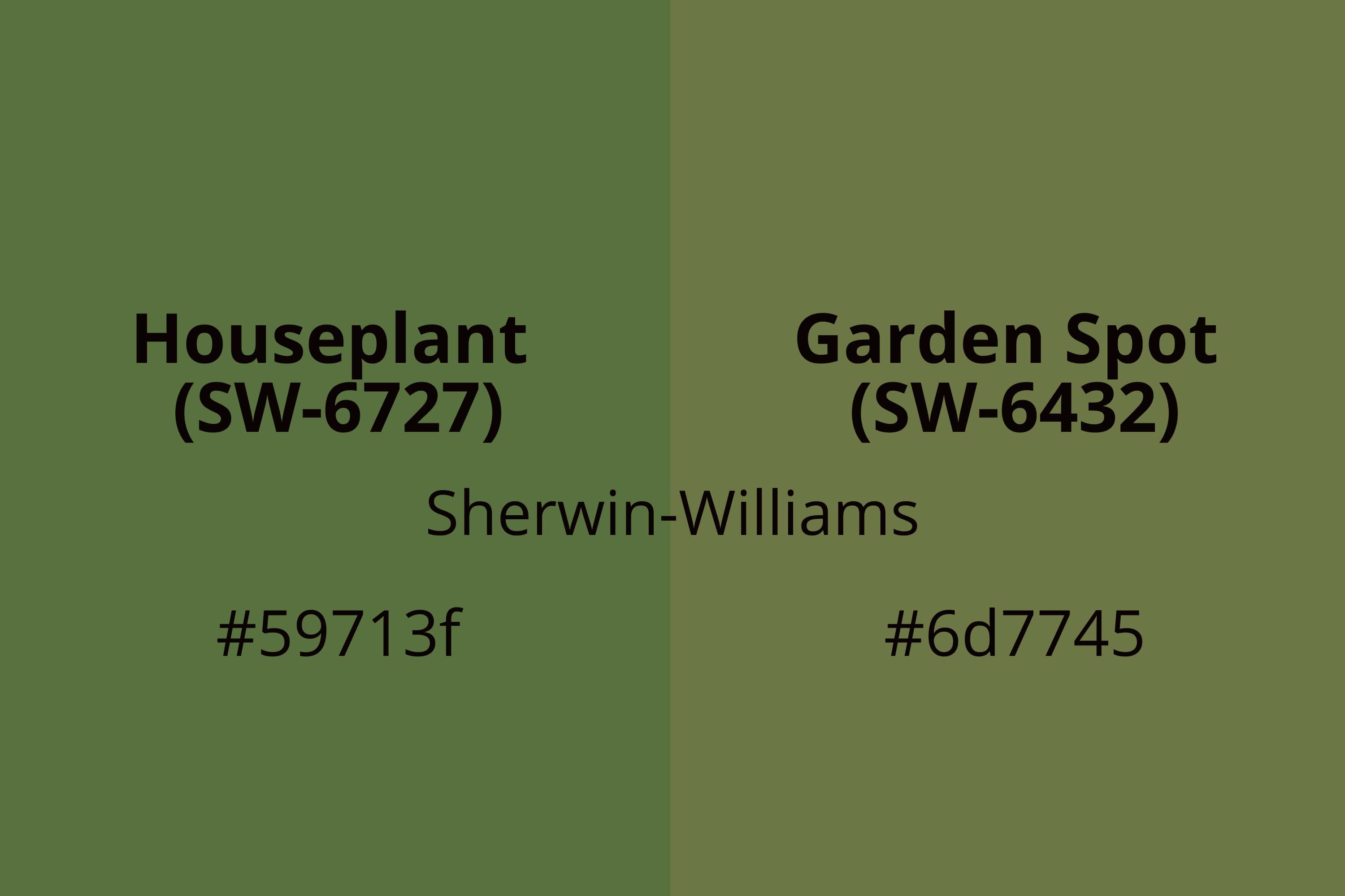 Sherwin Williams Houseplant (SW 6727) and Sherwin Williams Garden Spot (SW 6432)