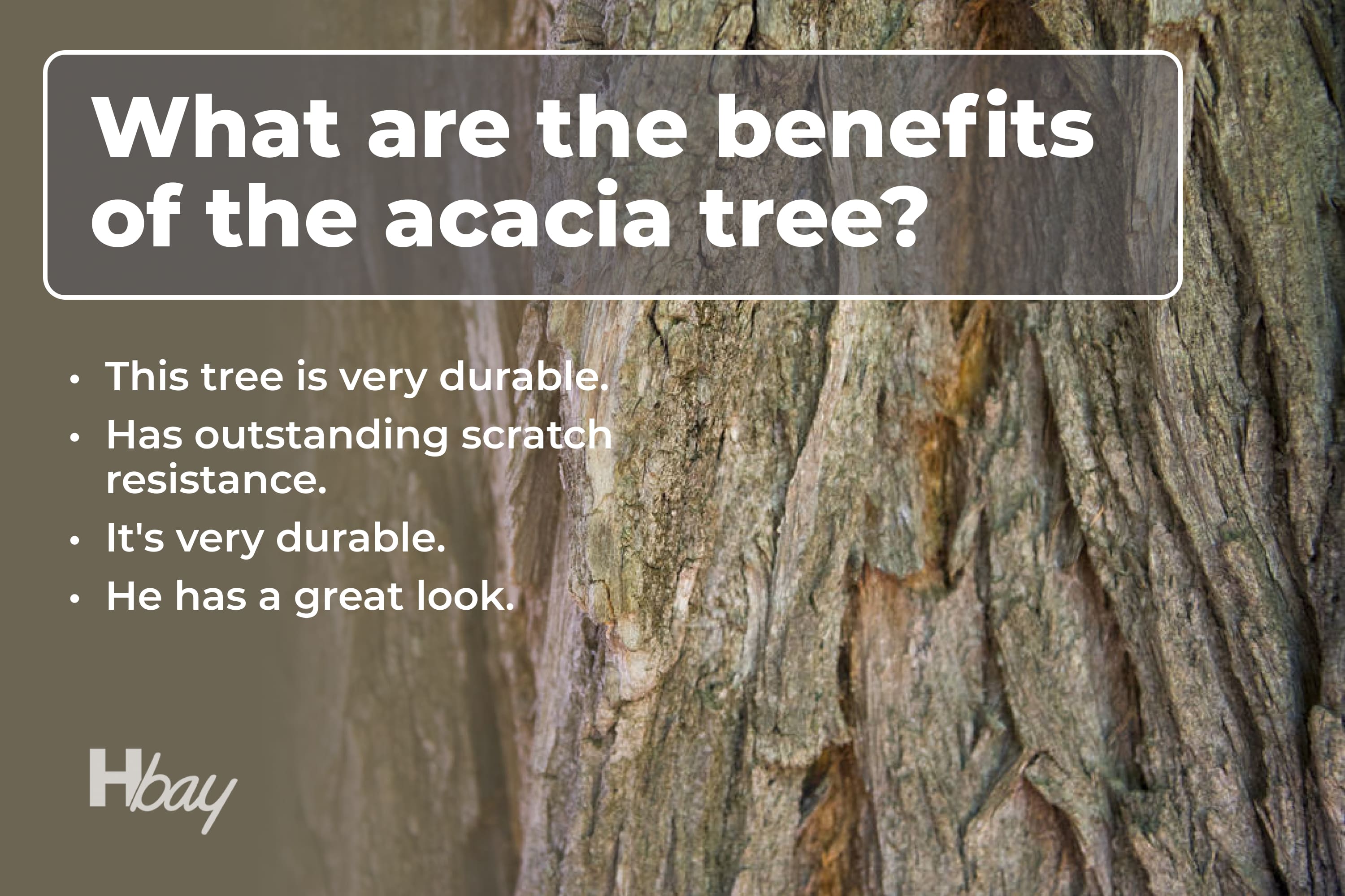 What are the benefits of the acacia tree