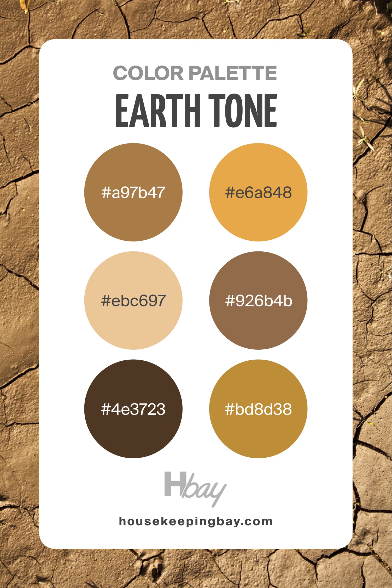 Earth Tone Palette