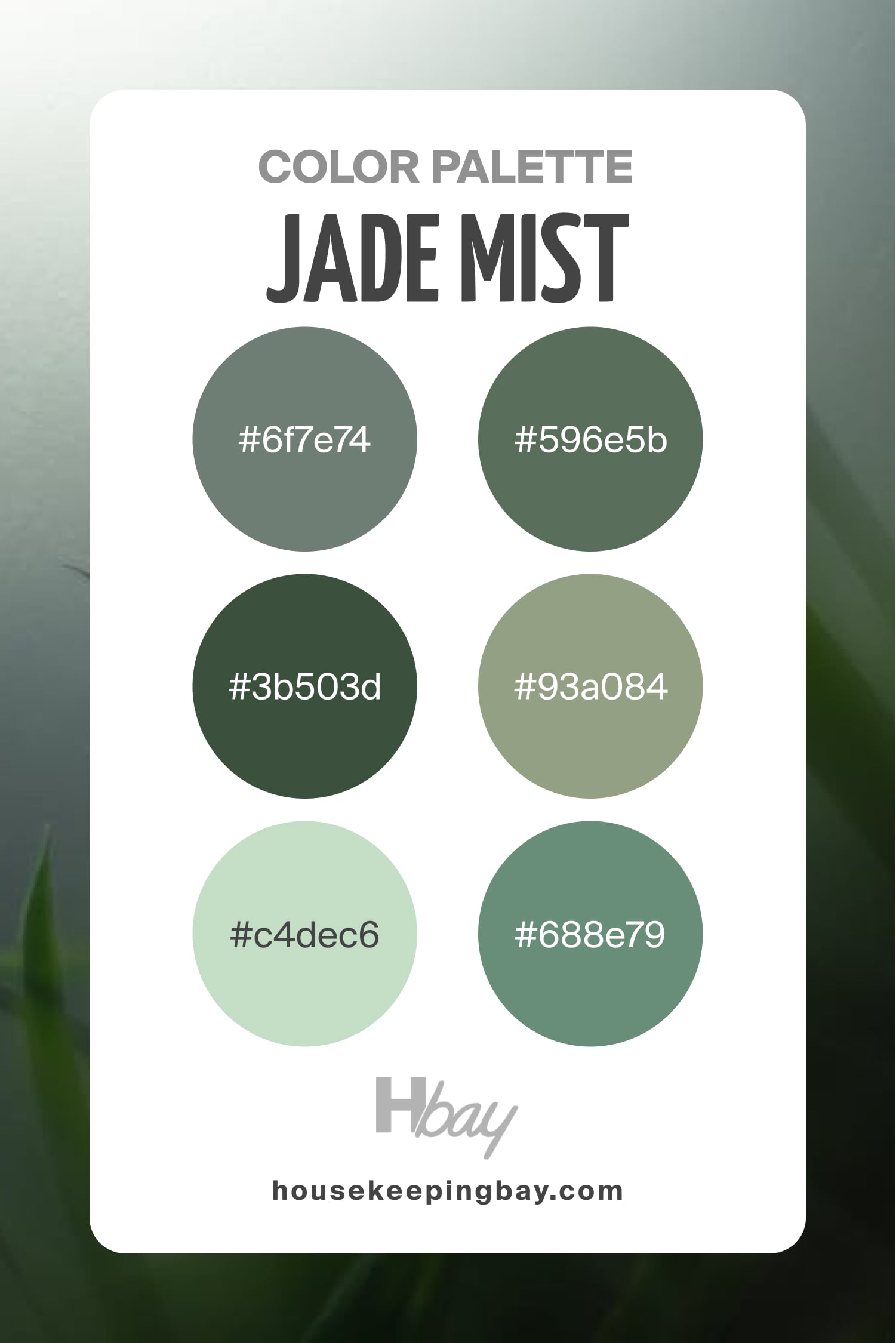 Jade Mist Color Palette Palette