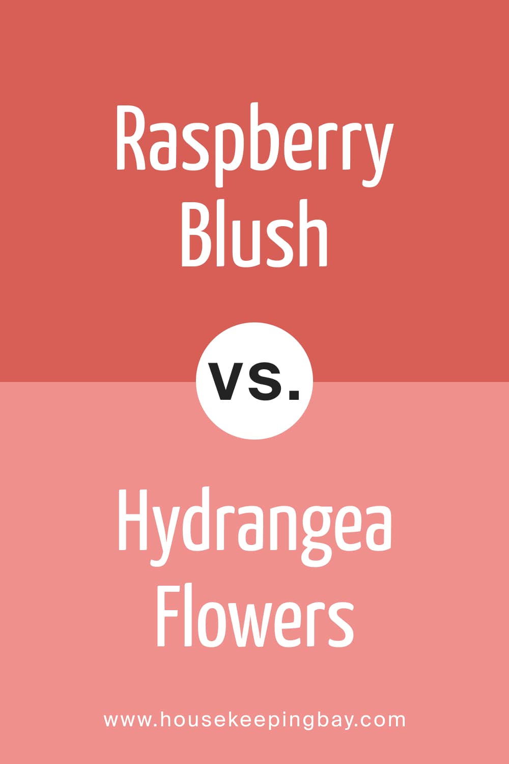 Raspberry Blush vs Hydrangea Flowers
