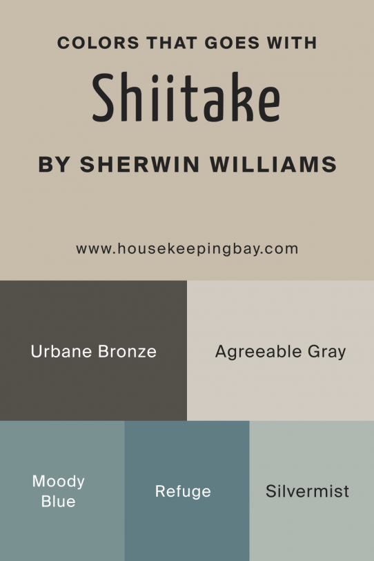 Shiitake SW9173 Paint Color by SherwinWilliams