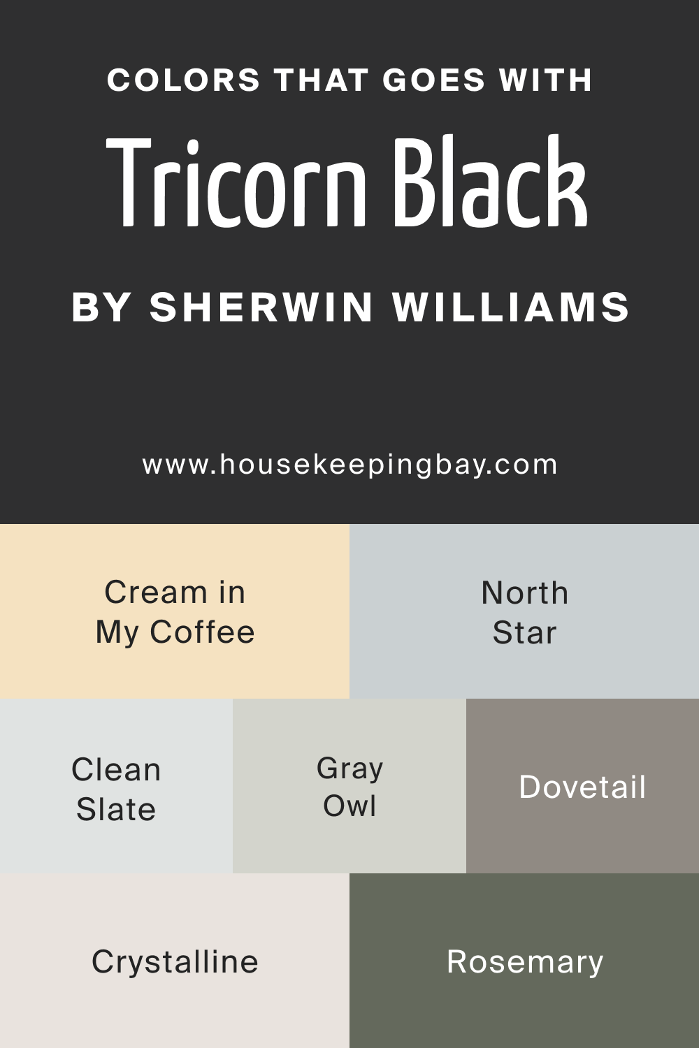 Colors that goes with SW 6258 Tricorn Black Sherwin Williams
