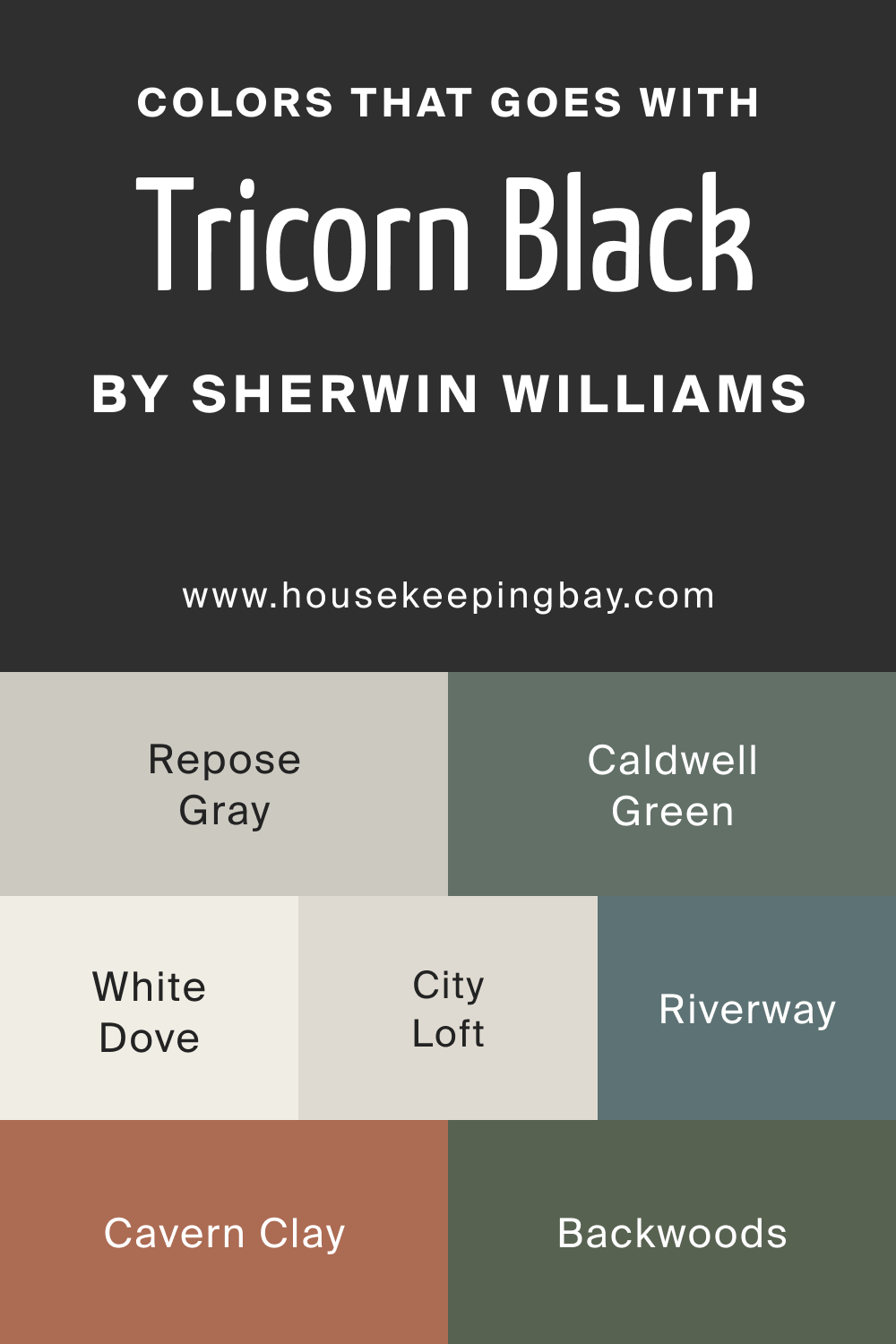 Colors that goes with SW 6258 Tricorn Black by Sherwin Williams