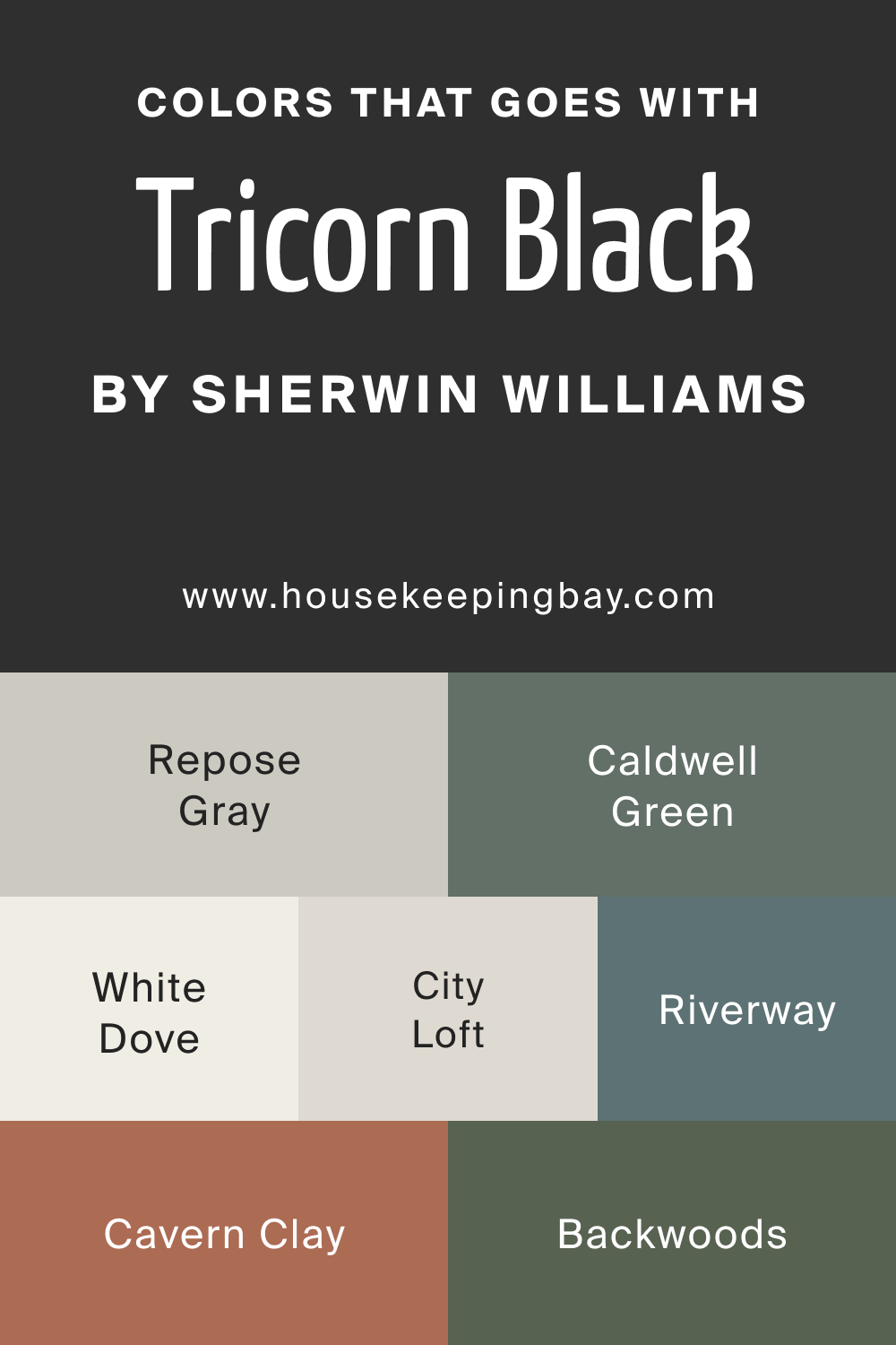 Tricorn Black SW-6258 Paint Color by Sherwin-Williams