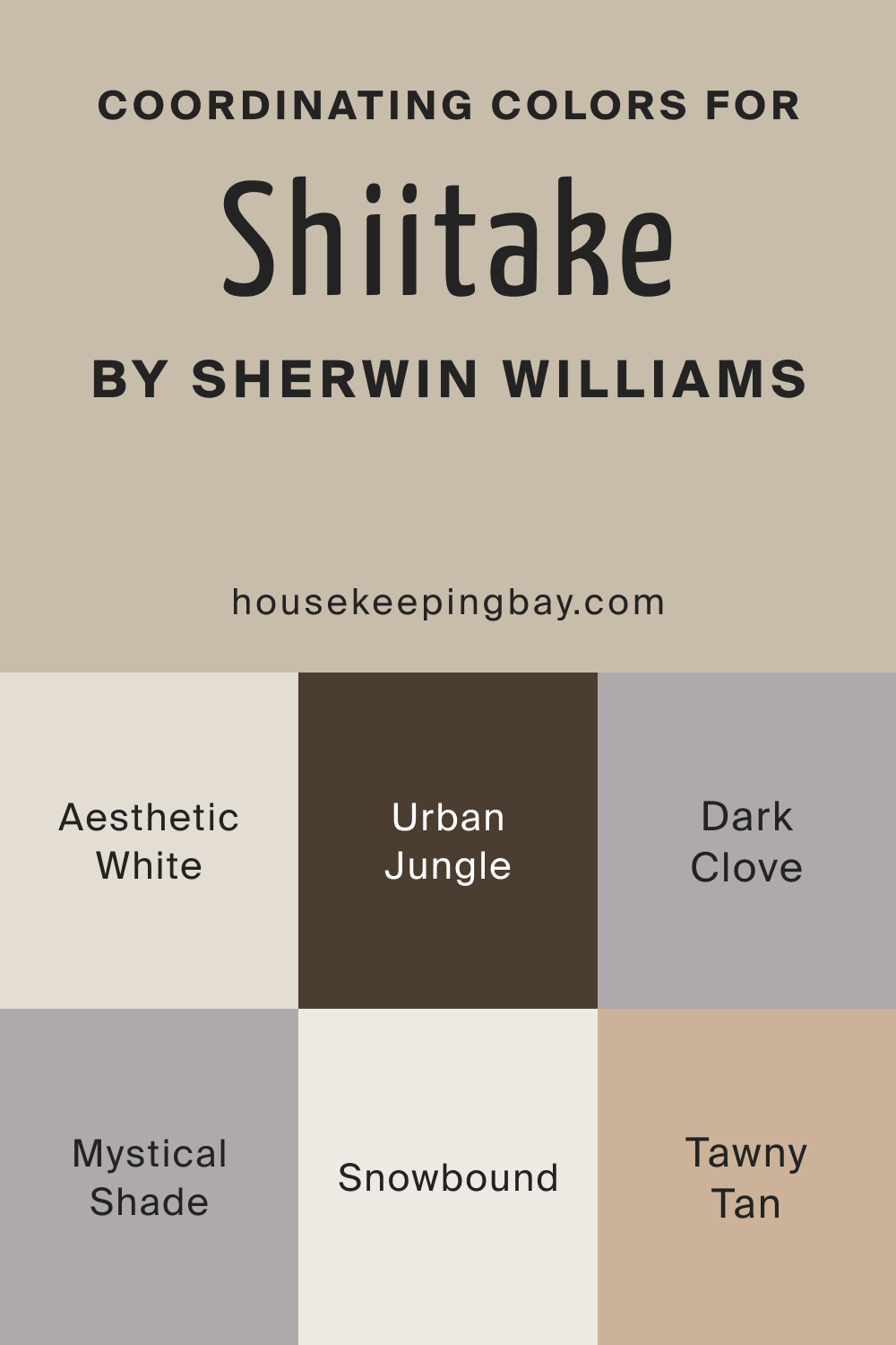 Shiitake SW9173 Paint Color by SherwinWilliams