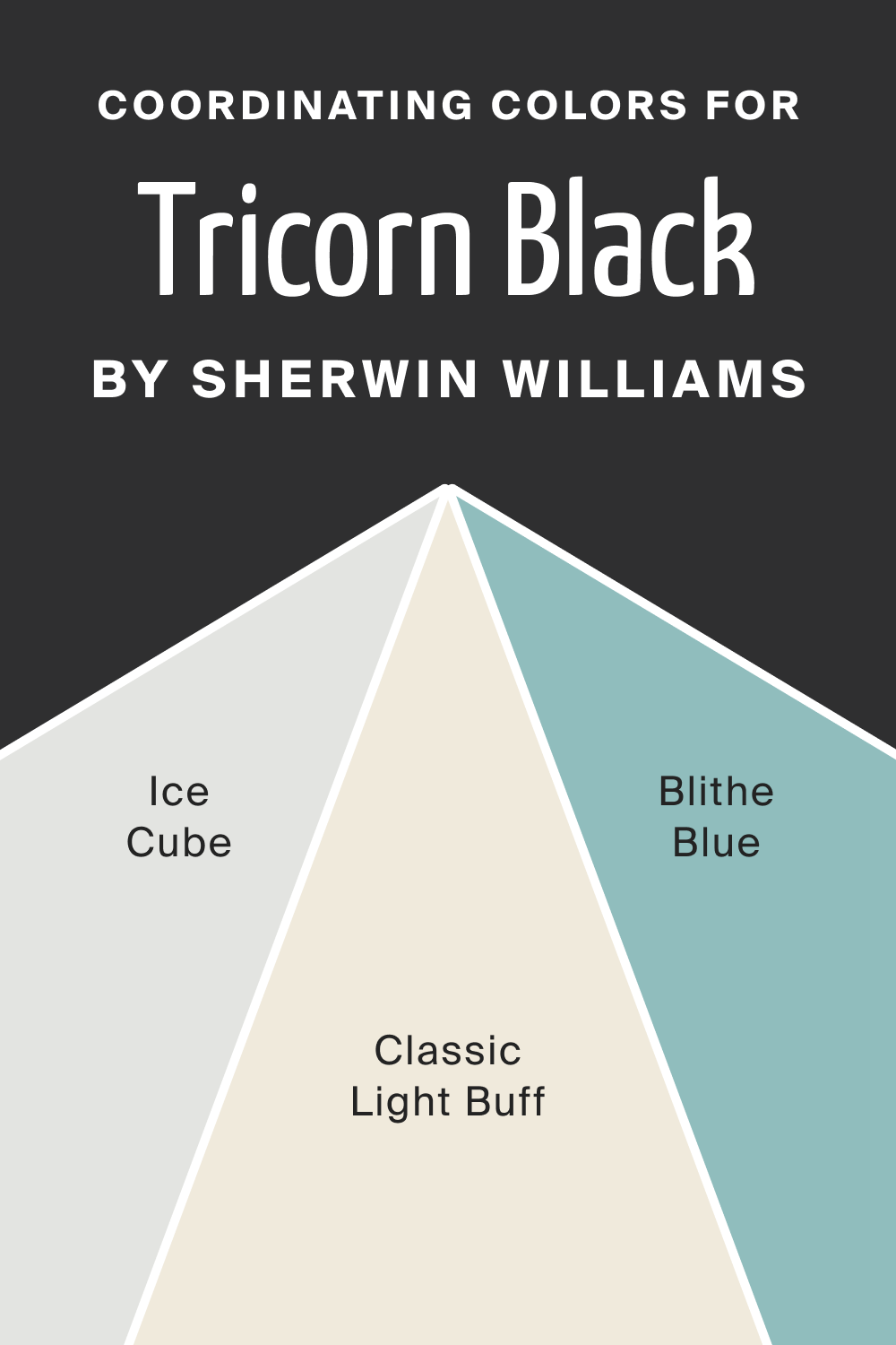 Coordinating Colors for SW 6258 Tricorn Black by Sherwin Williams