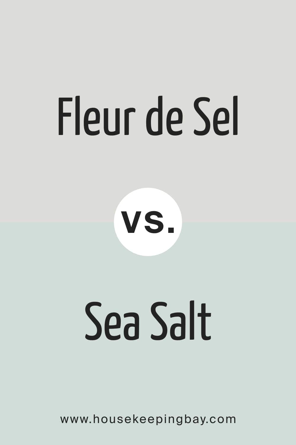 Fleur de Sel vs. Sea Salt Paint