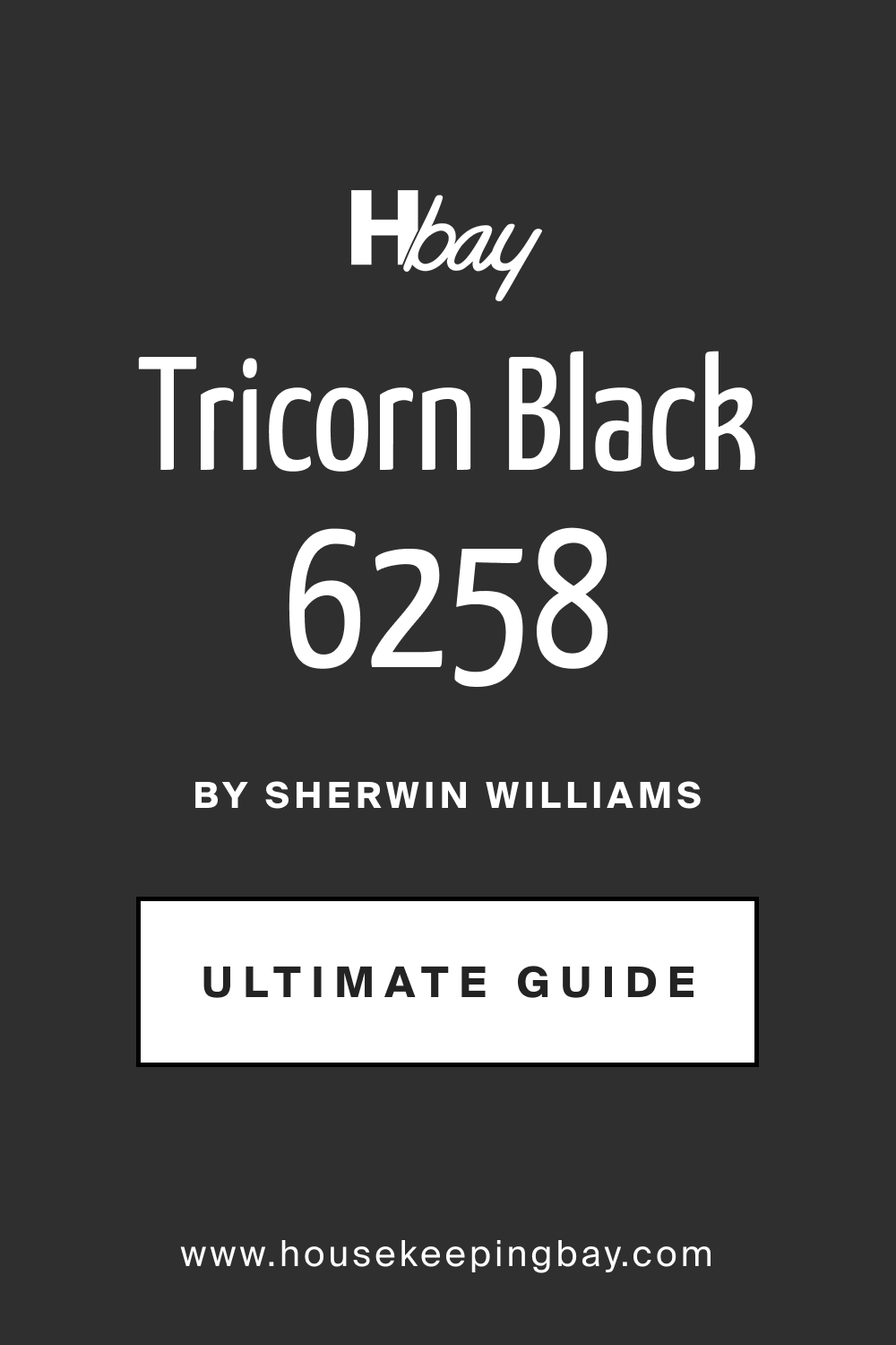 SW 6258 Tricorn Black by Sherwin Williams Ultimate Guide