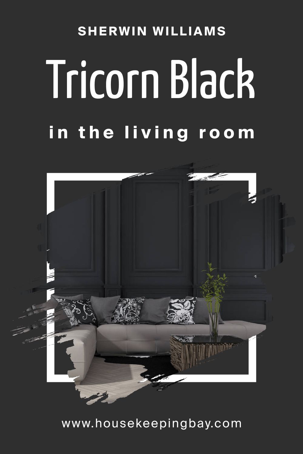 Sherwin Williams. SW 6258 Tricorn Black In the Living Room