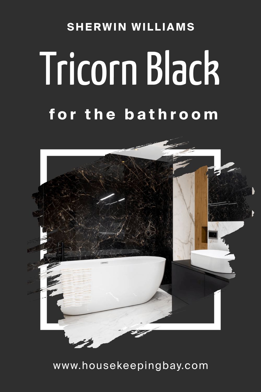 Sherwin Williams.SW 6258 Tricorn Black For the Bathroom
