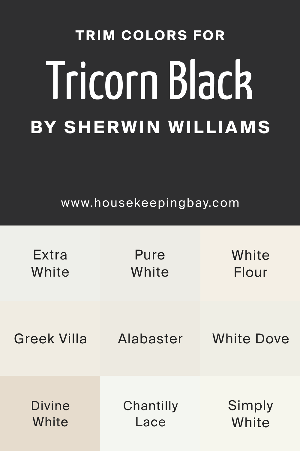 Trim Colors for SW 6258 Tricorn Black by Sherwin Williams