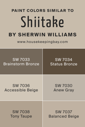 Shiitake SW-9173 Paint Color by Sherwin-Williams