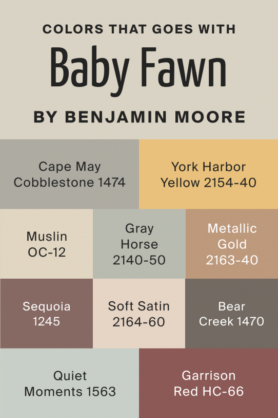 Baby Fawn OC-15 Paint Color by Benjamin Moore