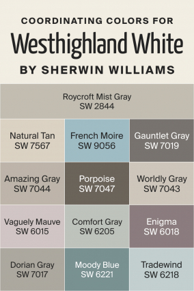 Westhighland White SW 7566 Paint Color by Sherwin-Williams