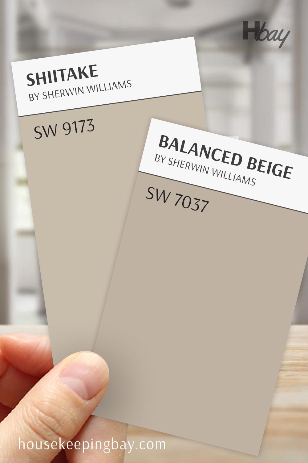 SW Shiitake SW 9173 vs Balanced Beige SW 7037