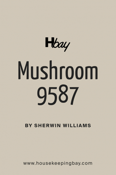 Mushroom SW 9587 Paint Color By Sherwin-Williams