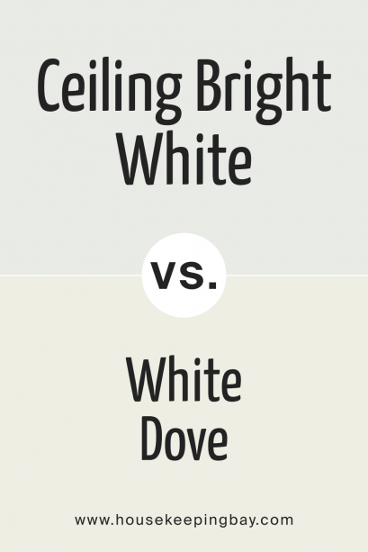 Ceiling Bright White SW 7007 by Sherwin-Williams