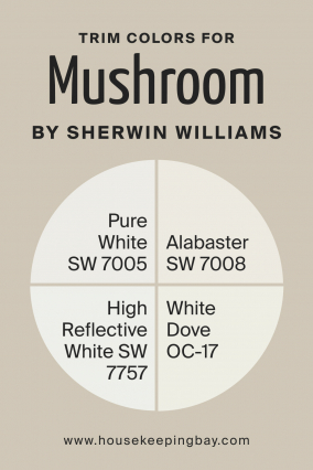 Mushroom SW 9587 Paint Color by Sherwin-Williams