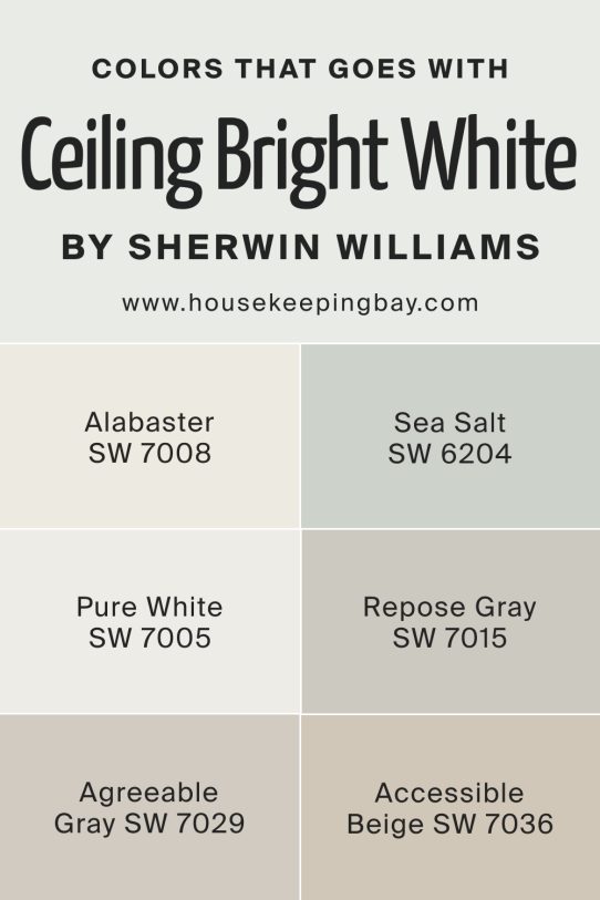 Ceiling Bright White SW 7007 by Sherwin-Williams