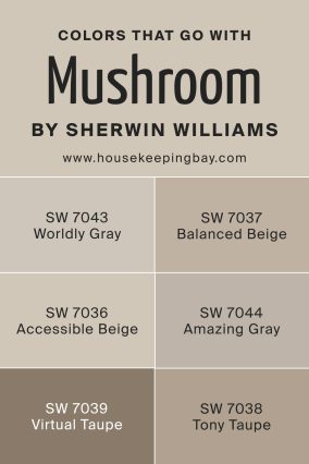 Mushroom SW 9587 Paint Color by Sherwin-Williams