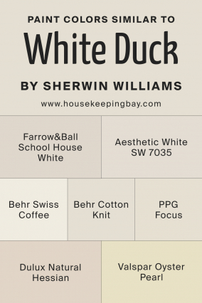 White Duck SW 7010 Paint Color by Sherwin-Williams