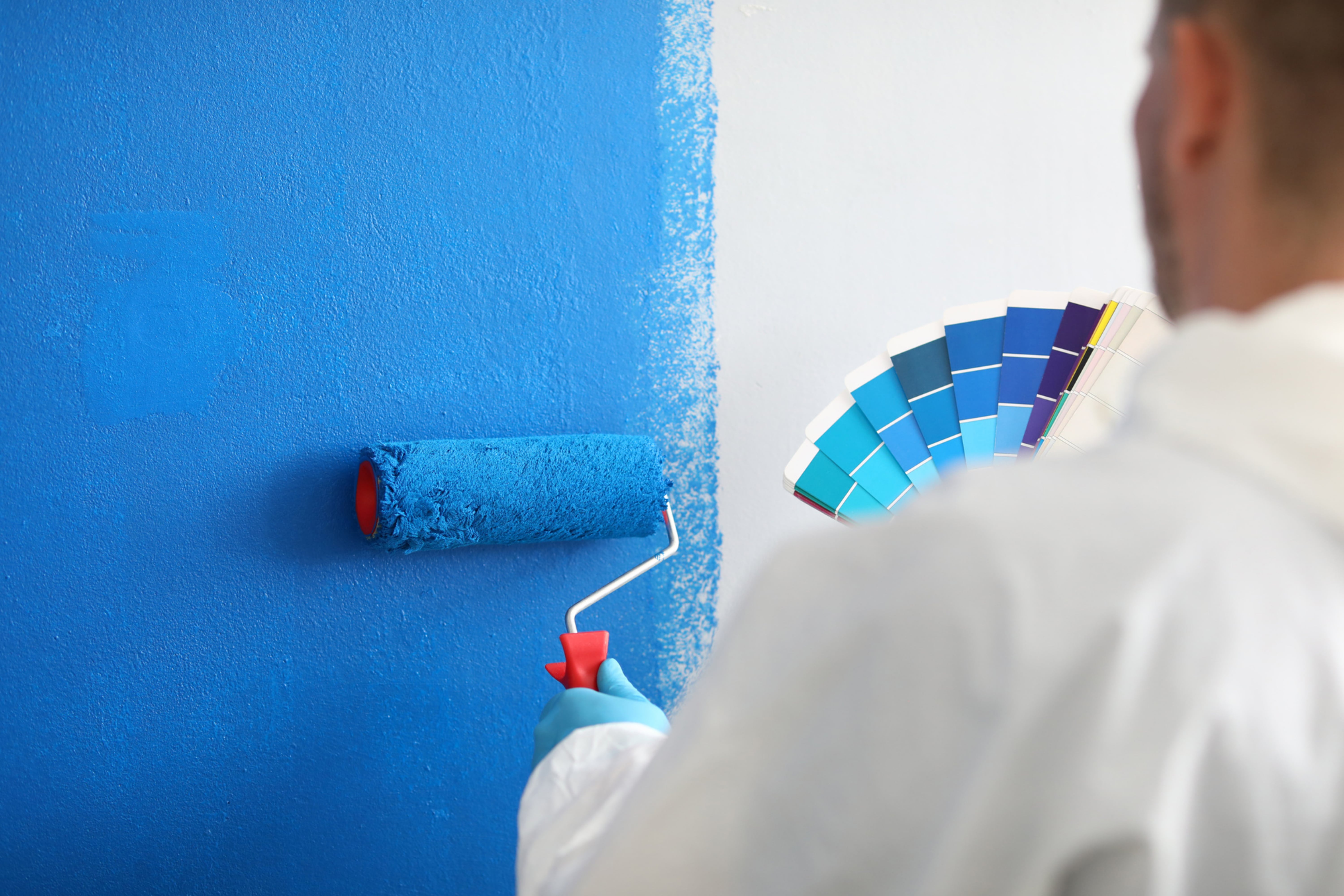 Choosing The Perfect Paint
