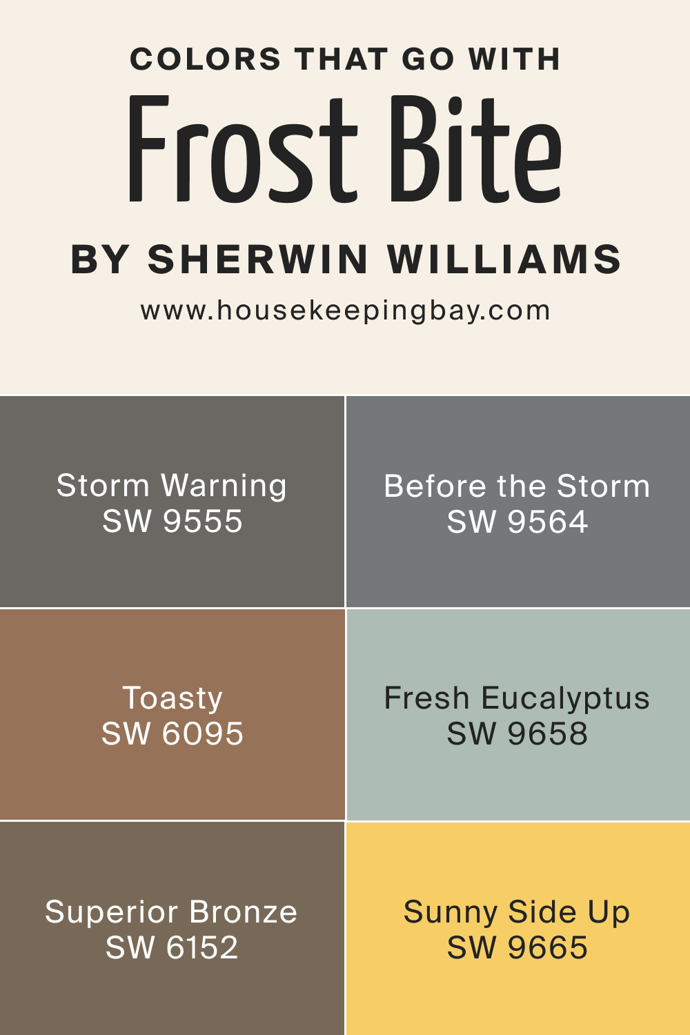 Colors that goes with SW 9505 Frost Bite by Sherwin Williams