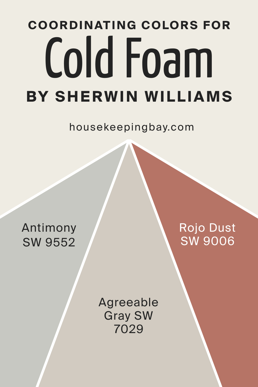 Coordinating Colors for SW 9504 Cold Foam by Sherwin Williams