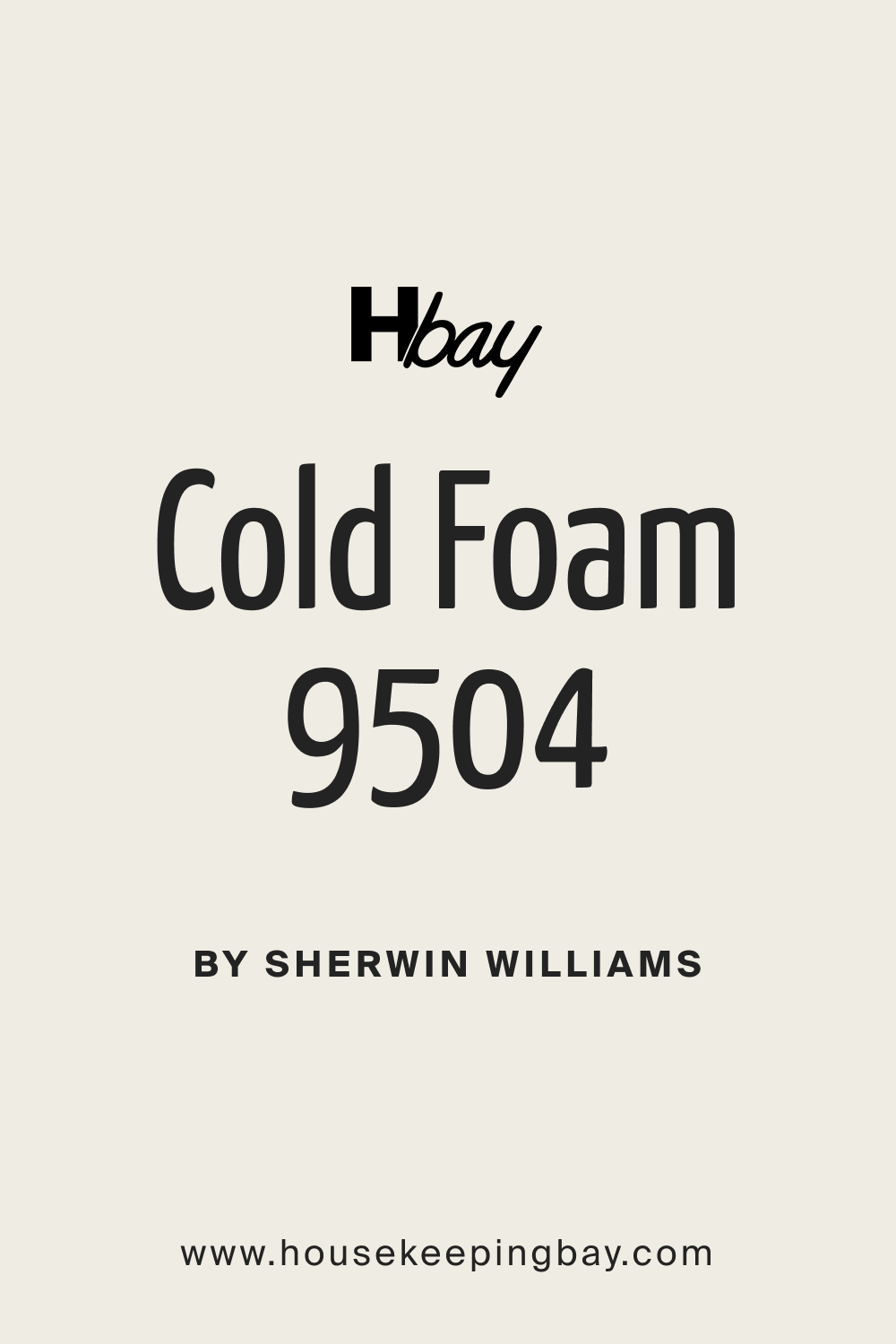 SW 9504 Cold Foam Paint Color by Sherwin Williams
