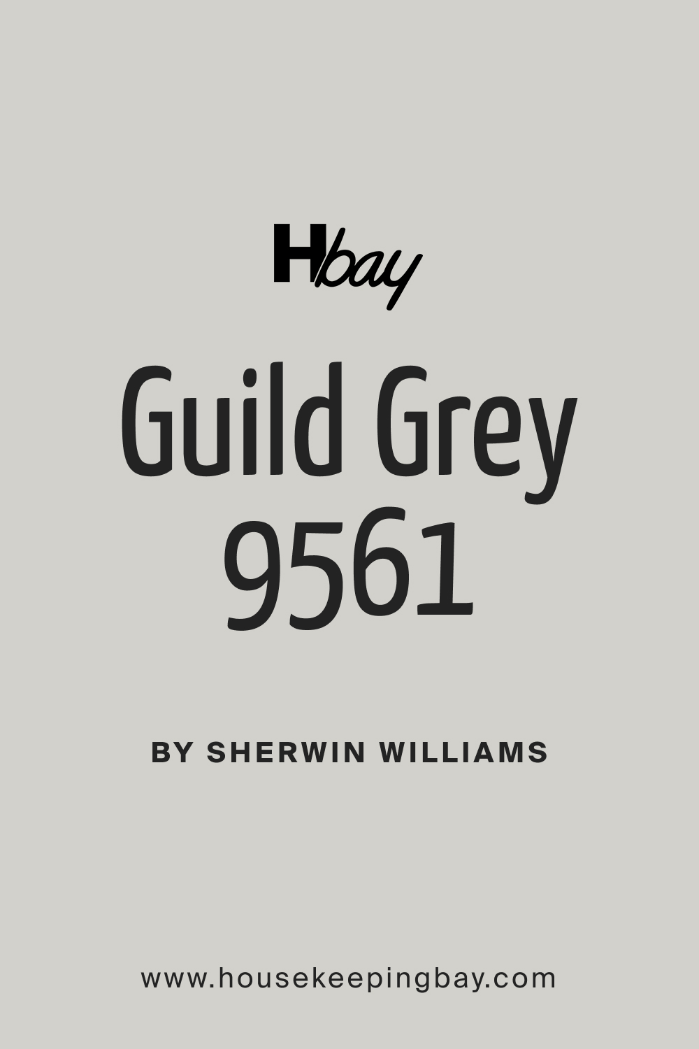 SW 9561 Guild Grey Paint Color by Sherwin Williams