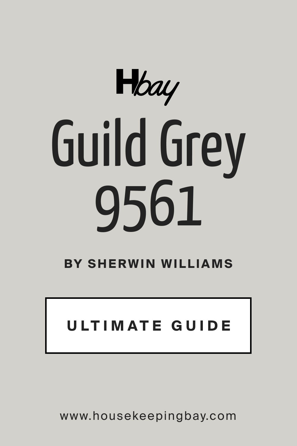 SW 9561 Guild Grey by Sherwin Williams Ultimate Guide