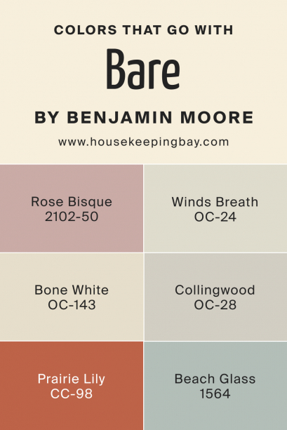 Bare OC-98 Paint Color by Benjamin Moore - Housekeepingbay