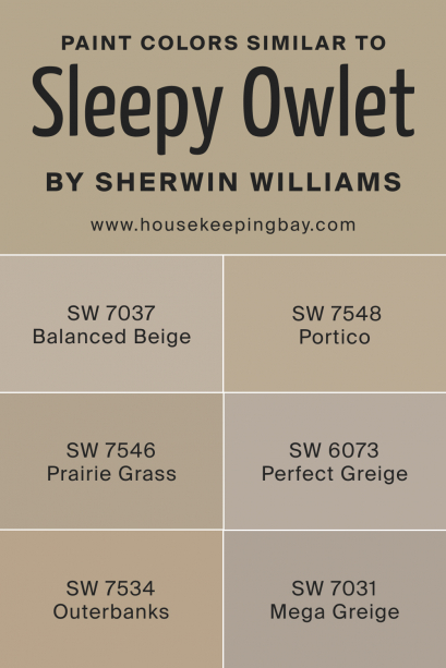 Sleepy Owlet SW 9513 Paint Color by Sherwin-Williams