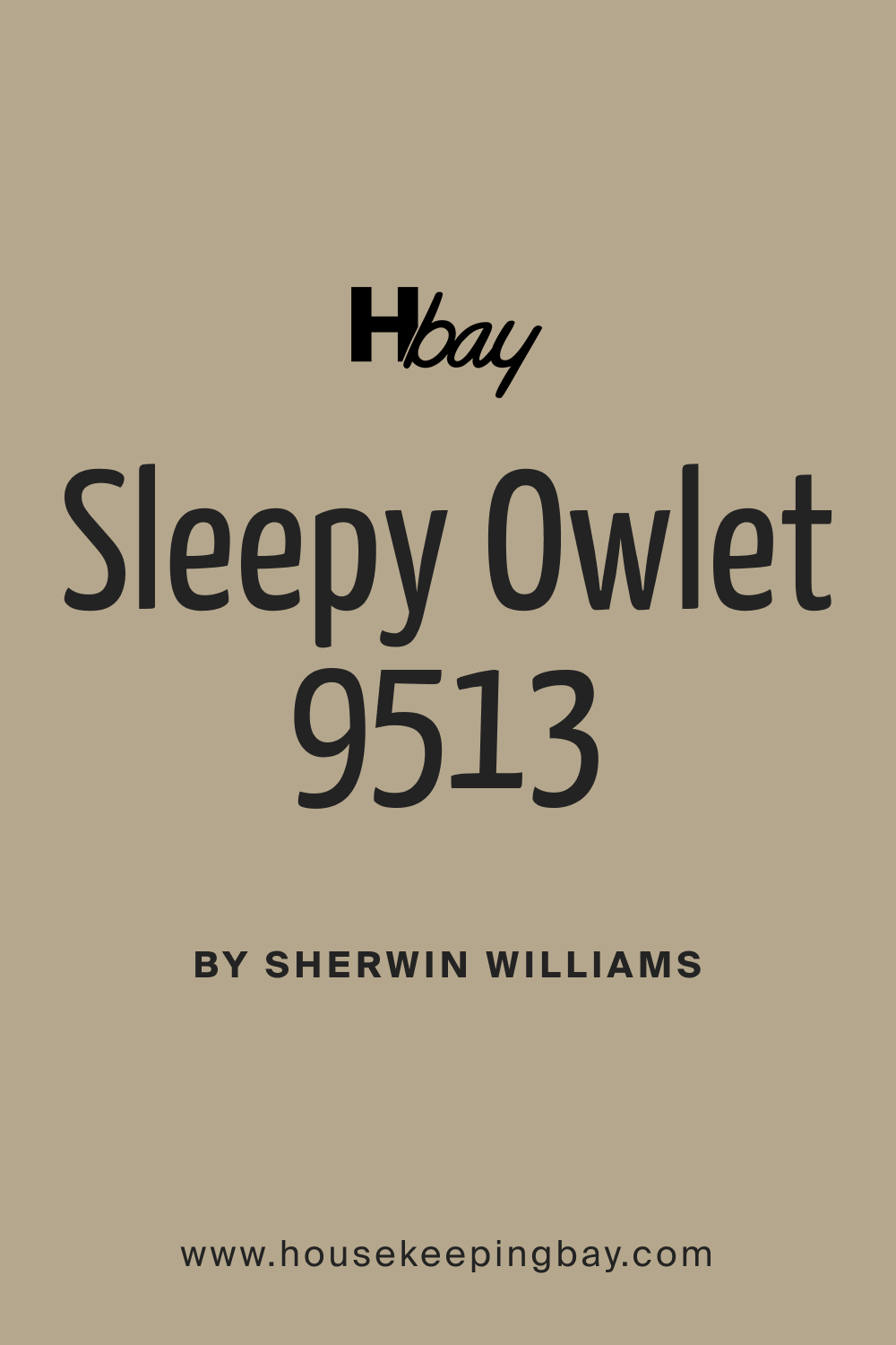 SW 9513 Sleepy Owlet Paint Color by Sherwin Williams