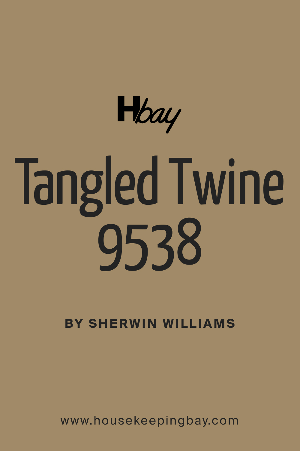SW 9538 Tangled Twine Paint Color by Sherwin Williams