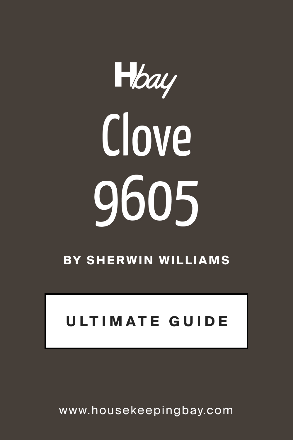 SW 9605 Clove by Sherwin Williams Ultimate Guide