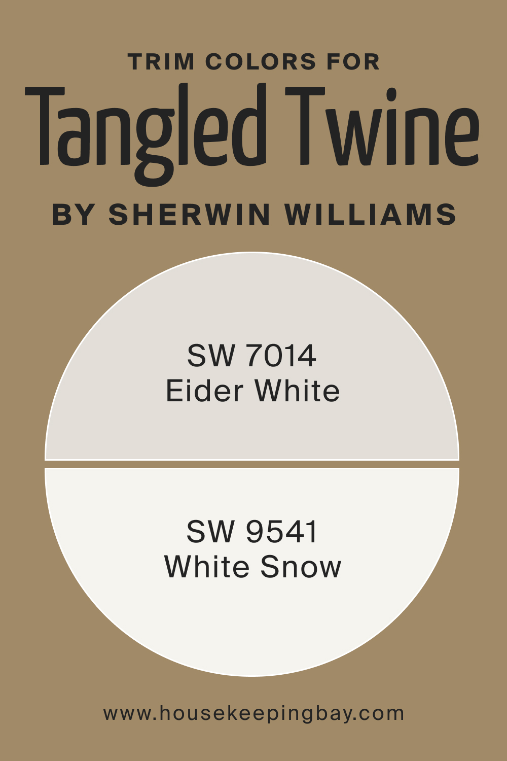 Trim Colors of SW 9538 Tangled Twine by Sherwin Williams