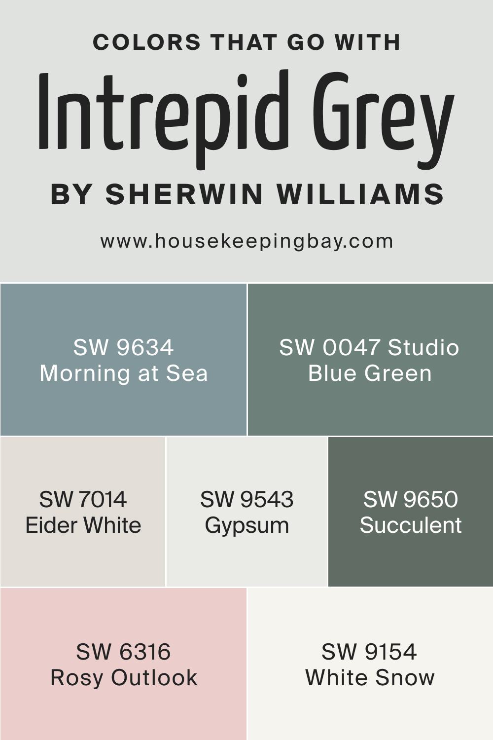 Colors that goes with SW 9556 Intrepid Grey by Sherwin Williams