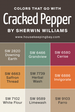 Cracked Pepper SW 9580 Paint Color by Sherwin-Williams
