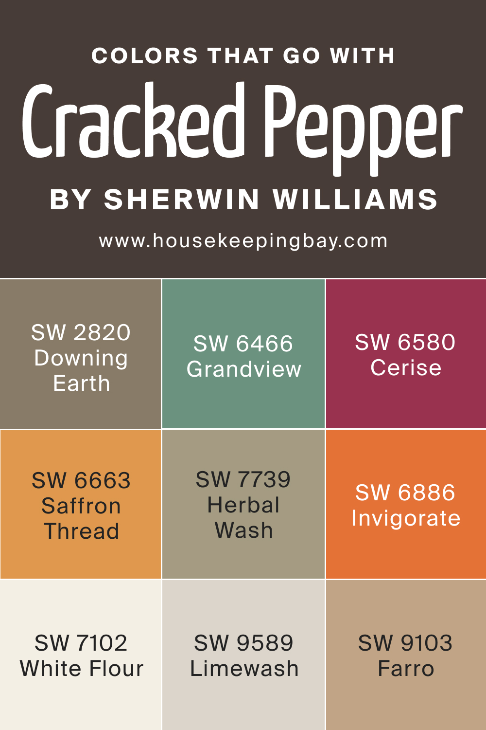 Colors that goes with SW 9580 Cracked Pepper by Sherwin Williams