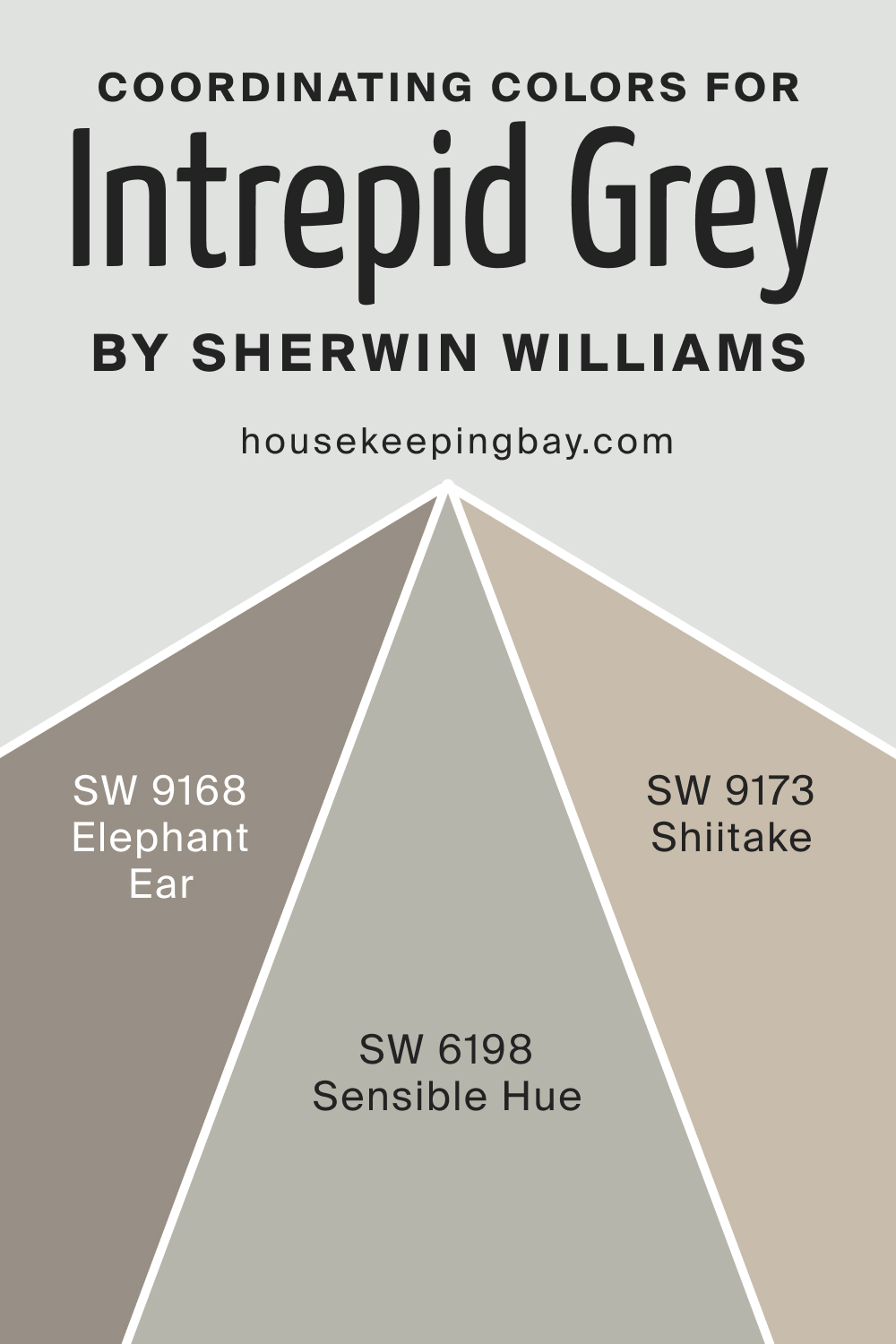 Coordinating Colors for SW 9556 Intrepid Grey by Sherwin Williams