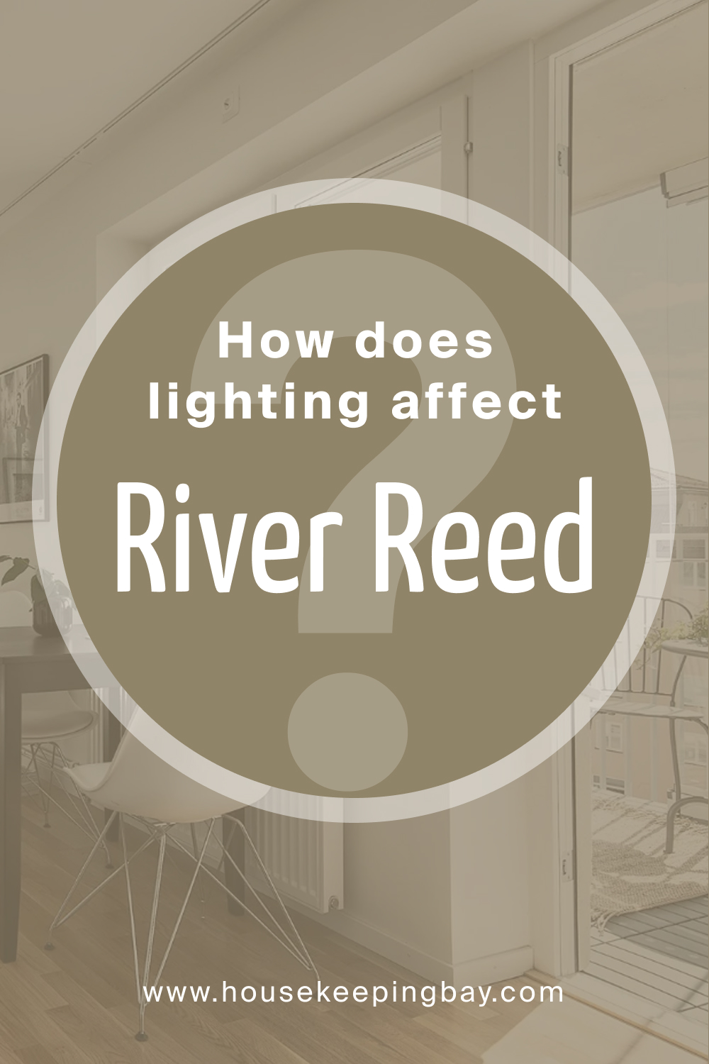 How does lighting affect SW 9534 River Reed